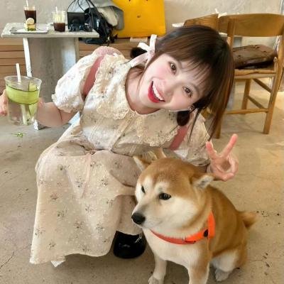 恶师损友
