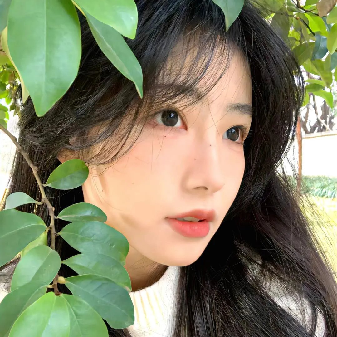 圣山村谜局